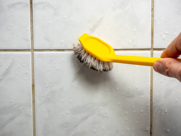 Best Certified Mold Removal  in Elmer, NJ