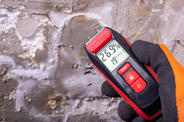 Best Crawl Space Mold Removal  in Elmer, NJ