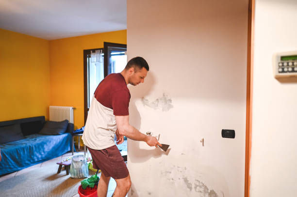 Best Attic Mold Removal  in Elmer, NJ